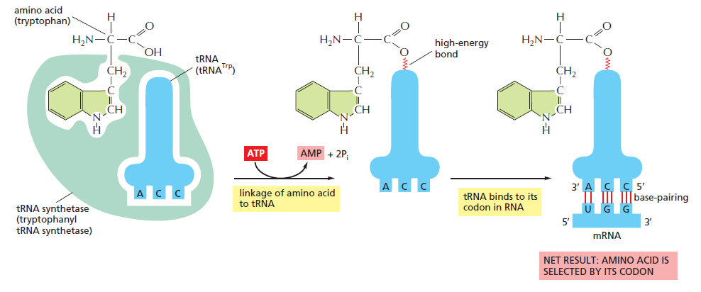 Figure 6-56.png